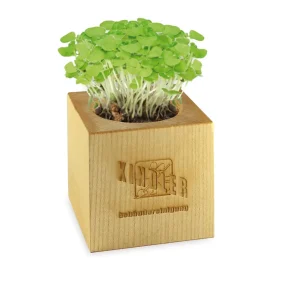 Ecocube Magnetico Personalizzato